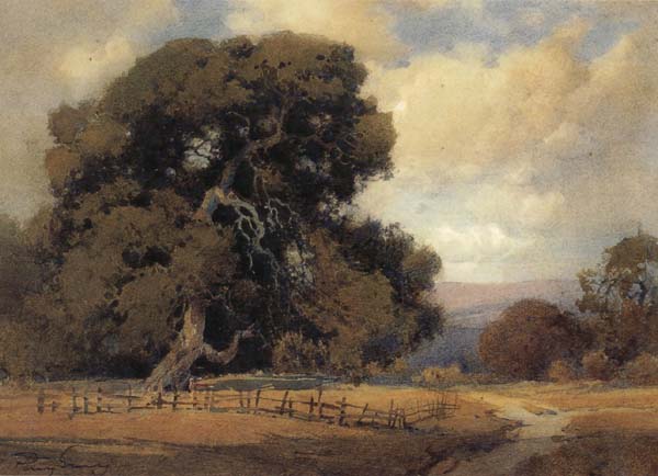 California landscape